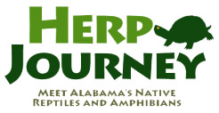 Herp Journey, Meet Alabama's Native reptiles and Amphibians