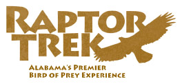 Raptor Trek, Alabama's Premier Bird of Prey Experience
