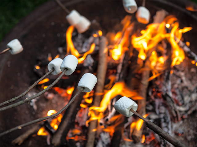 roasting marshmallows on the campfire