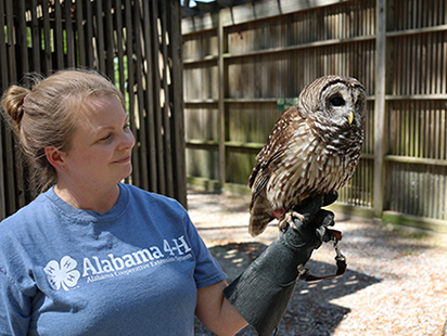 owl perched on a handler's arm