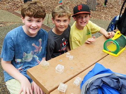boys at a picnic table examining bugs